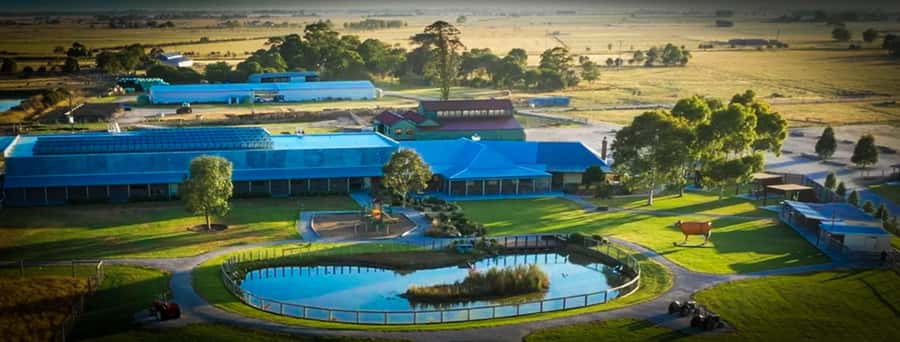 Melbourne:Phillip Island Tour 1 Day Tour - Cowes gives you a short island-town pause