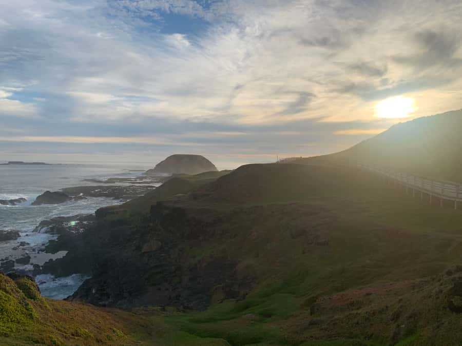 Melbourne: Phillip Island Tour & Penguin Parade - From Melbourne to Moonlit Sanctuary