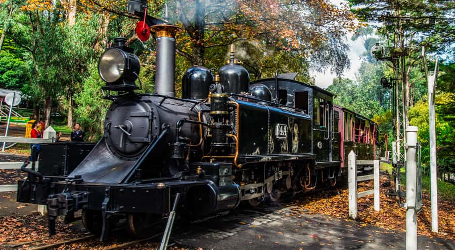 Melbourne: Puffing Billy & Healesville Sanctuary Scenic Tour - Meeting Australian wildlife at Healesville Sanctuary