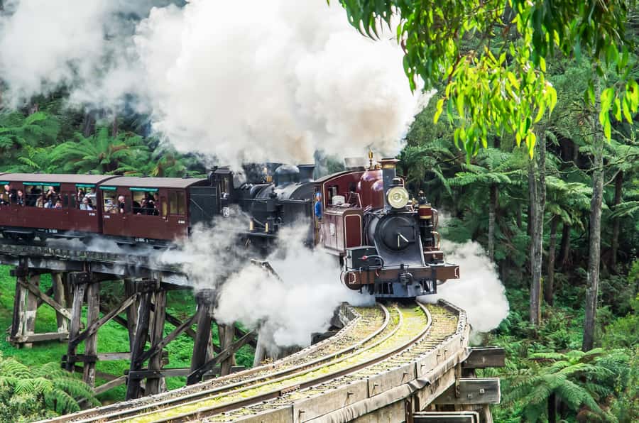 Melbourne: Puffing Billy & Healesville Sanctuary Scenic Tour - Who will get the most from this tour