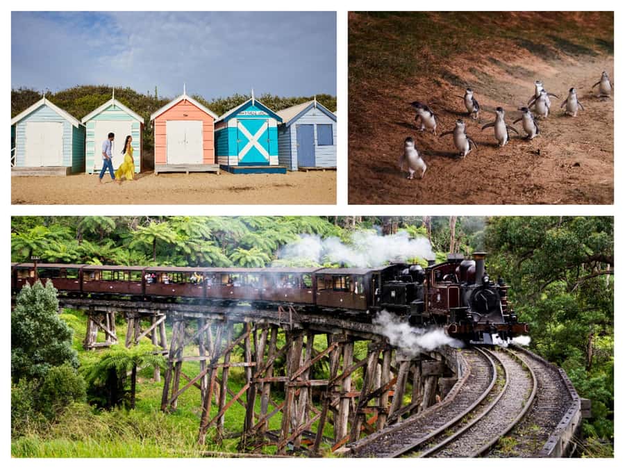 Melbourne: Puffing Billy Penguin Parade Brighton Boxes Tour - Key points to know before booking