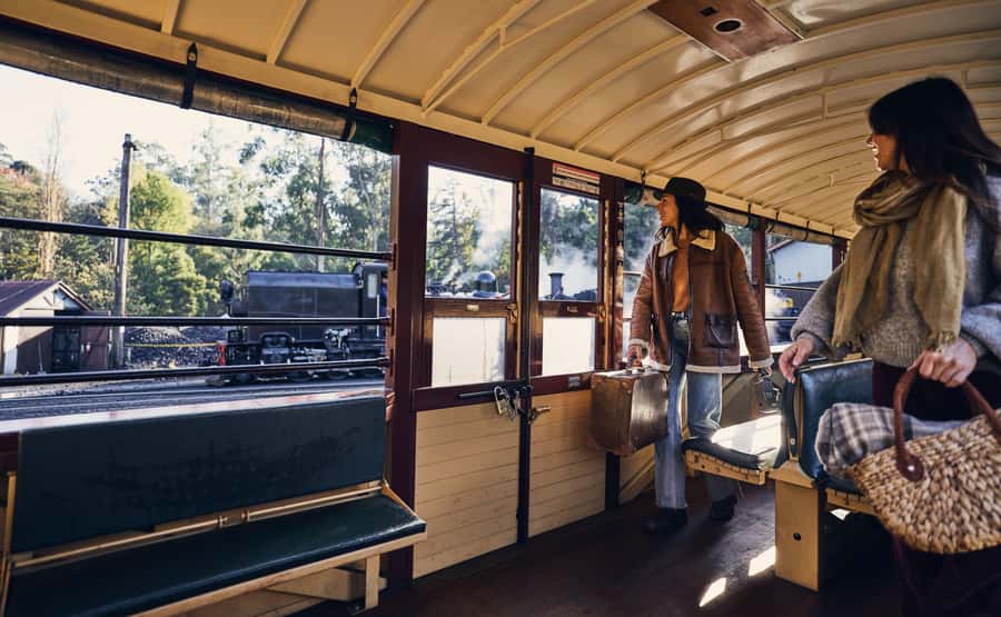 Melbourne: Puffing Billy Railway & Penguin Parade Day Tour - Waiting for the little penguins