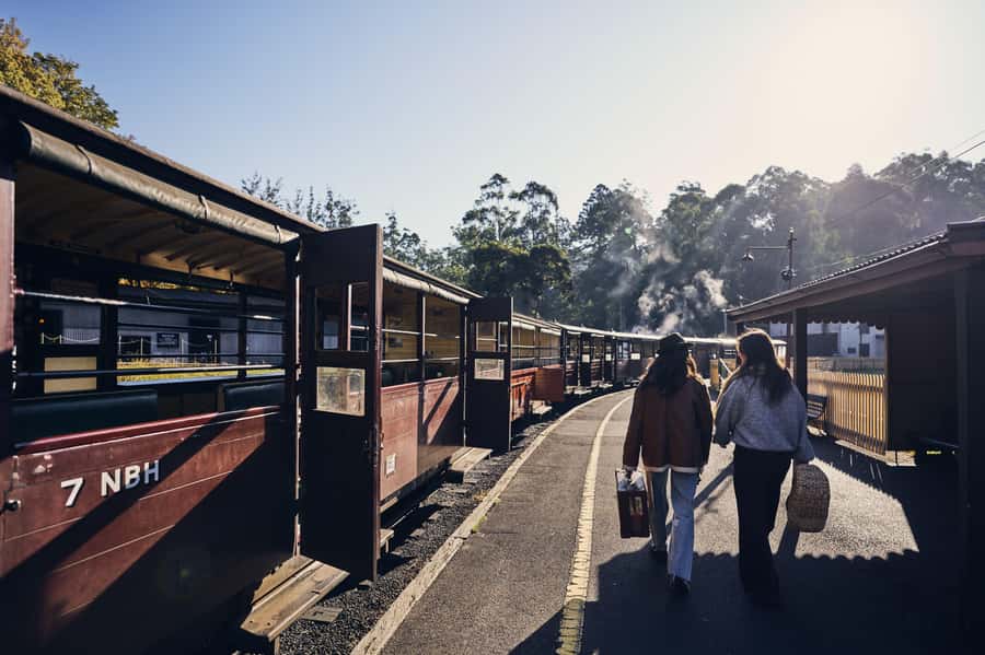 Melbourne: Puffing Billy Railway & Rainforest Tour - Key points at a glance