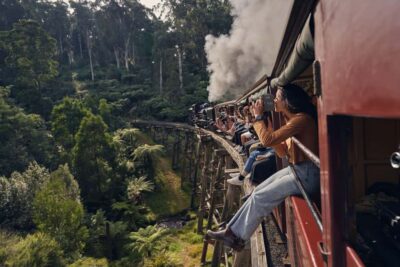 Puffing Billy Railway & Rainforest Tour