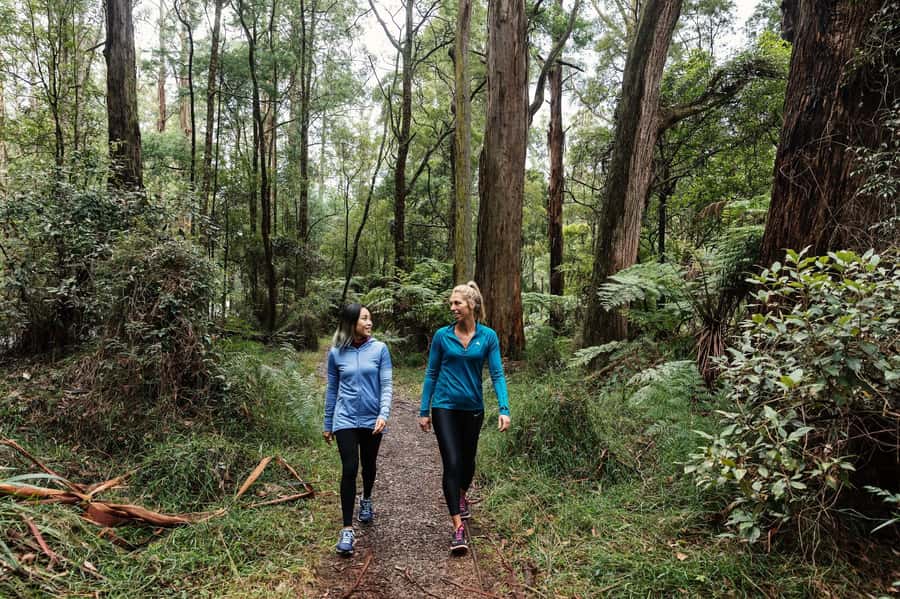 Melbourne: Puffing Billy Railway & Rainforest Tour - What makes the railway ride special