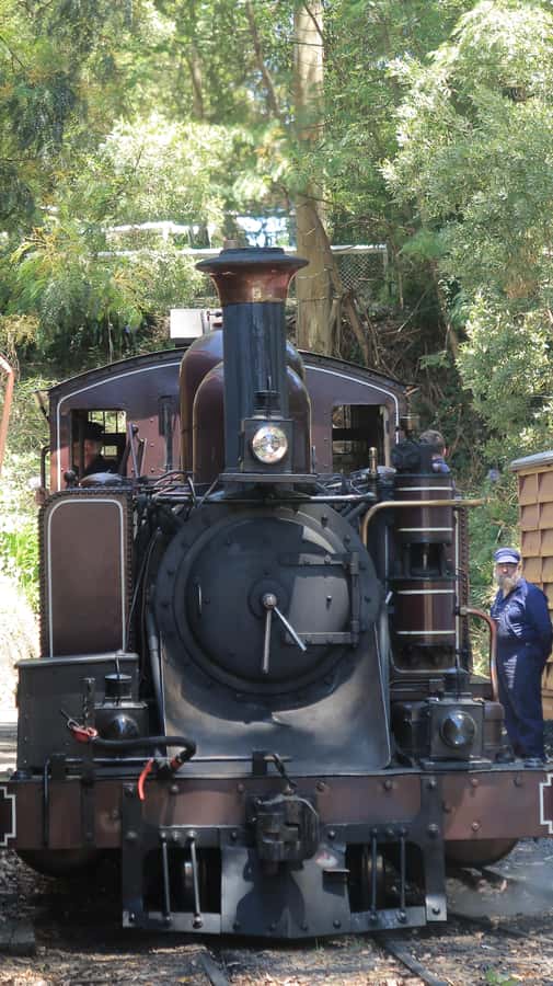 Melbourne: Puffing Billy Train and Penguin Island Day Tour - Key points to know before booking