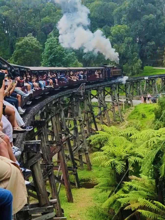 Melbourne: Puffing Billy Train and Penguin Island Day Tour - Two famous Victorian outings in one very long day