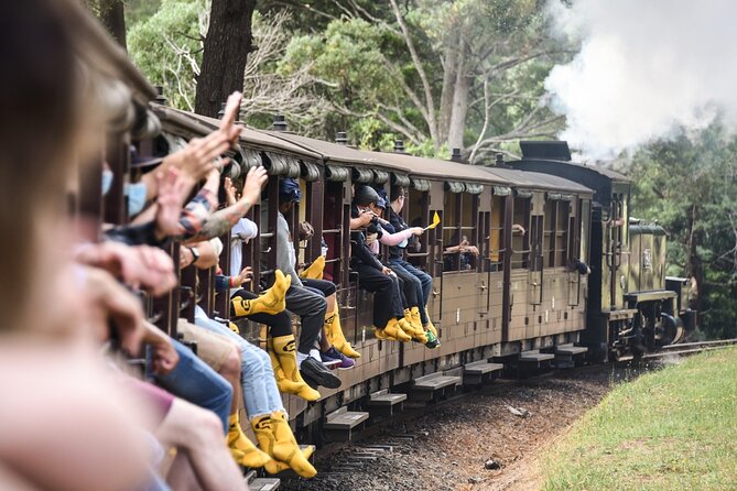 Melbourne Puffing Billy Train and Penguin Parade Day Tour Escape - Maru Koala and Animal Park: close animal encounters at extra cost