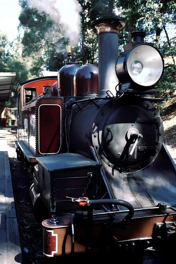 Melbourne: Puffing Billy Train & Healesville & Winery Tour - A Short Yarra Valley Stop at Rochford Winery