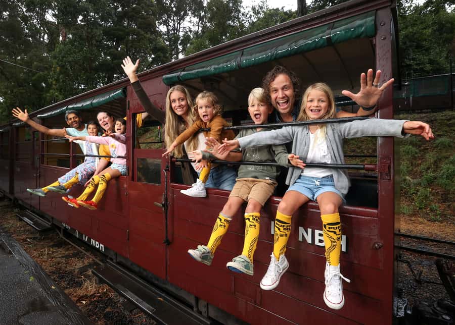 Melbourne: Puffing Billy Train & Penguin Island Excursion - Optional wildlife at Maru Koala and Animal Park