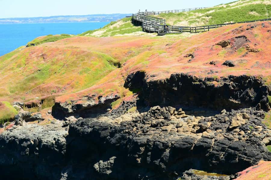 Melbourne: Puffing Billy Train & Penguin Island Excursion - What the $130 price really covers