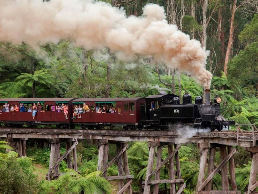 Melbourne: Puffing Billy Train Wildlife Zoo Private Tour - Why this private Melbourne day trip works