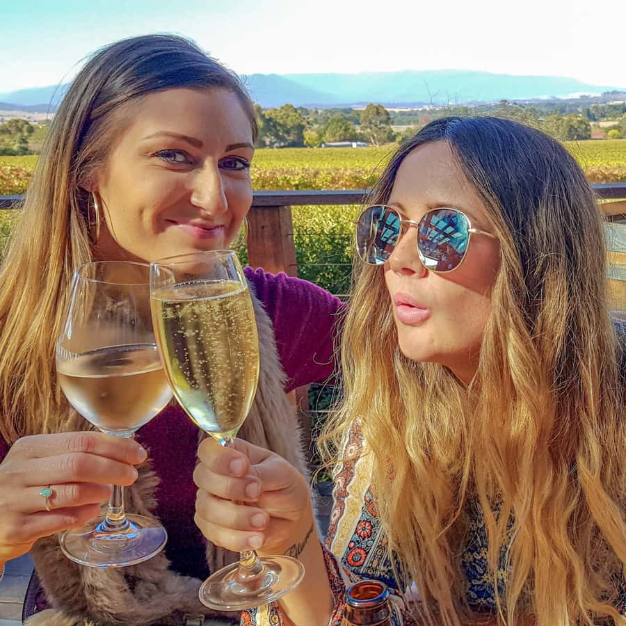 Melbourne: Relaxed Half-Day Yarra Valley Wine Tour - Key points to know before booking