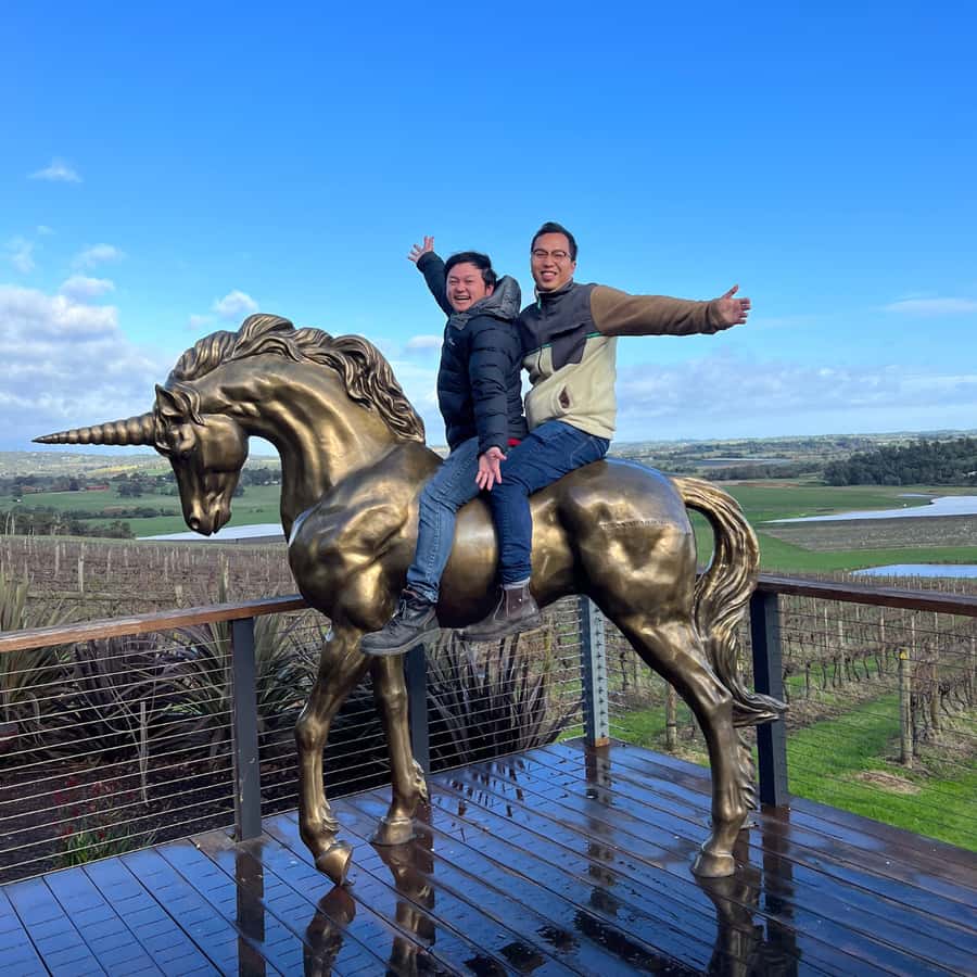 Melbourne: Relaxed Half-Day Yarra Valley Wine Tour - Yering Farm or a similar final stop