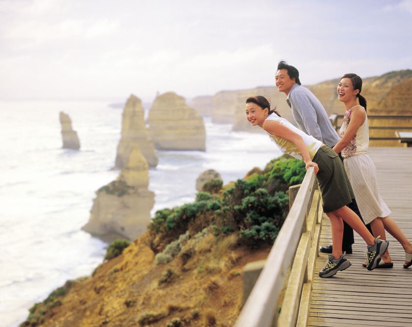 Melbourne: Reverse Great Ocean Road 12 Apostles with Lunch - Searching for koalas in the eucalyptus trees