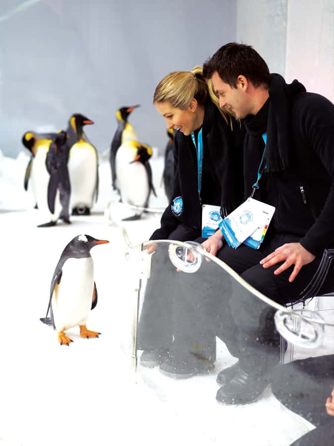 Melbourne: SEA LIFE Aquarium Entrance Ticket - A Yarra River location that is easy to reach