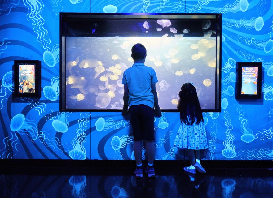 Melbourne: SEA LIFE Aquarium Entrance Ticket - Pinjarra is impressive, but do not count on a perfect view
