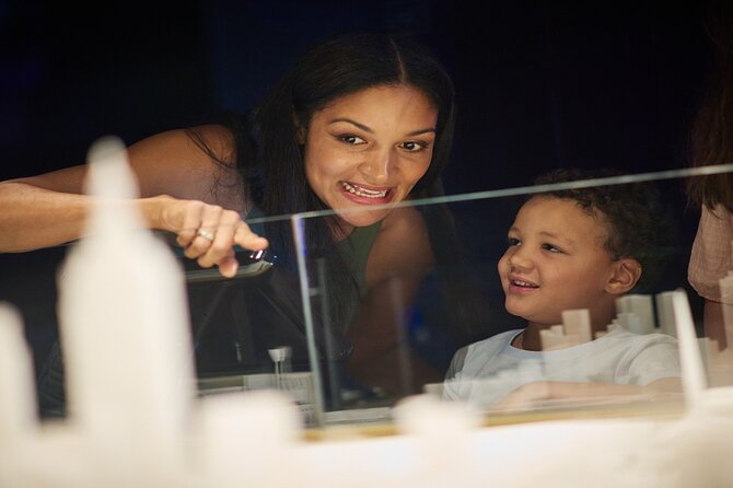 Melbourne Skydeck General Admission Ticket - Reaching level 88 in less than 40 seconds