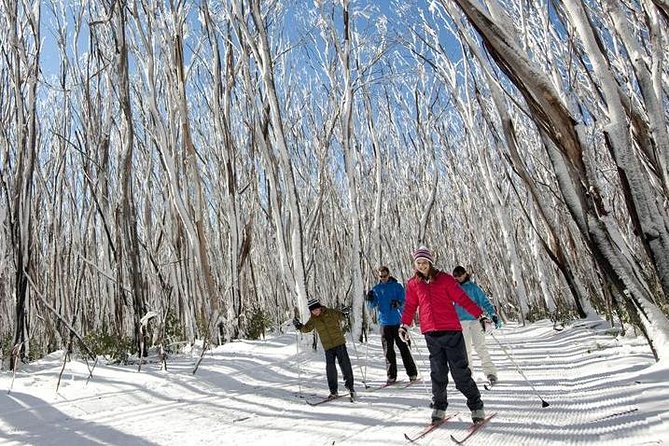 Melbourne Snow Trip to Lake Mountain with Chocolates & Waterfalls - The Healesville breakfast stop