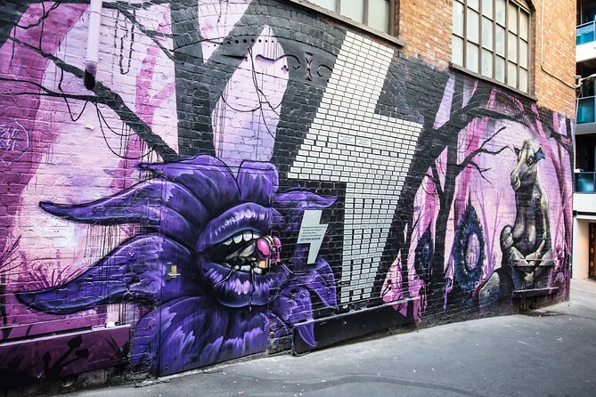 Melbourne Street Art Tour with a Local: Private & Personalized - An Instagram-friendly lane with more than a photo stop