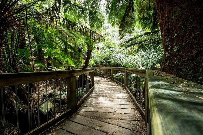 Melbourne to Adelaide 3-Day Great Ocean Road & Grampians Tour - Day two: Tower Hill and the Grampians