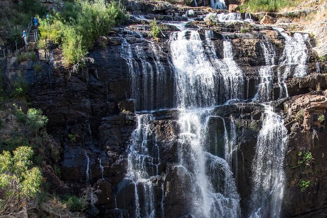 Melbourne to Adelaide 3-Day Great Ocean Road & Grampians Tour - Accommodation, meals, and physical comfort