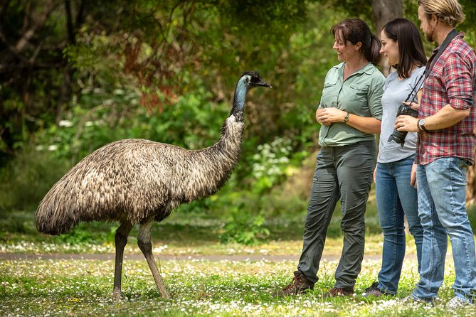 Melbourne to the Great Ocean Road & Grampians 3 Day Original Tour - Halls Gap and the Aboriginal story of the Grampians