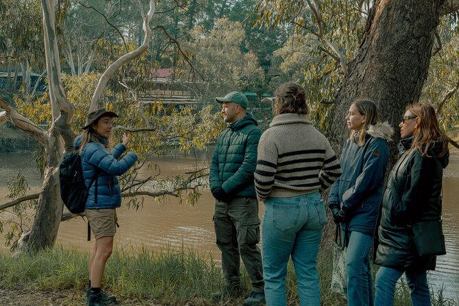 Melbourne Tours Walk the Yarra & Historic Boathouse Lunch - Key points at a glance
