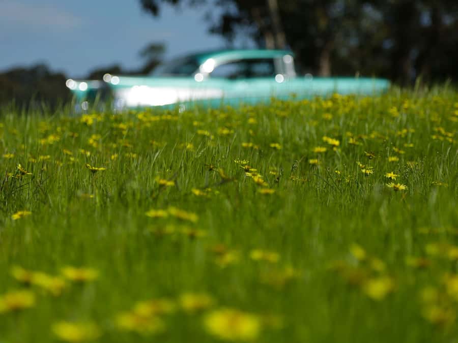 Melbourne: Yarra Valley Food & Wine Tour in a '56 Chevrolet - Timing, comfort, and practical limits