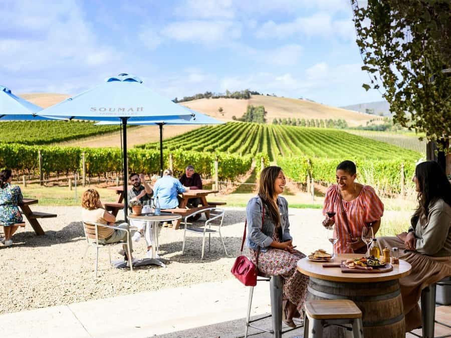 Melbourne: Yarra Valley Half-Day Wine Tour - Why this half-day tour works from Melbourne