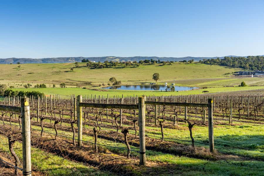 Melbourne: Yarra Valley Wine, Cider, Gin, Beer, & Choc Tour - Why this Yarra Valley trip feels different