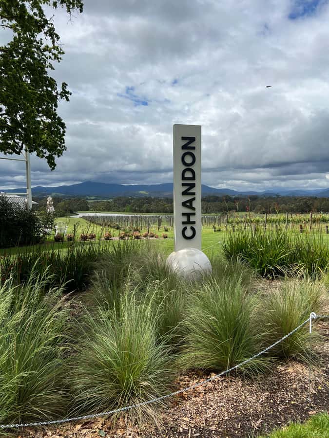 Melbourne: Yarra Valley Wineries Private Day Tour - Key things to know before booking