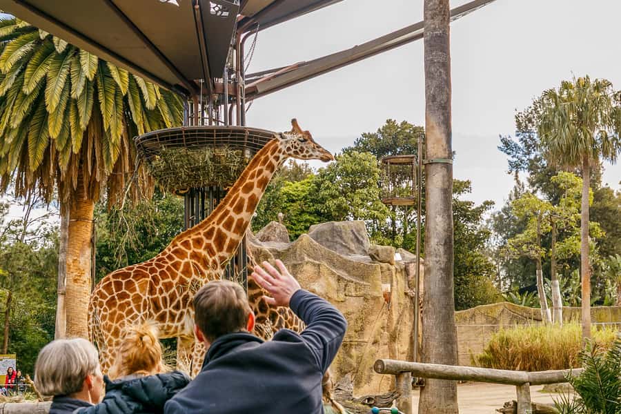 Melbourne Zoo: 1-Day Entry Ticket - Australian Bush Animals and Underwater Wildlife