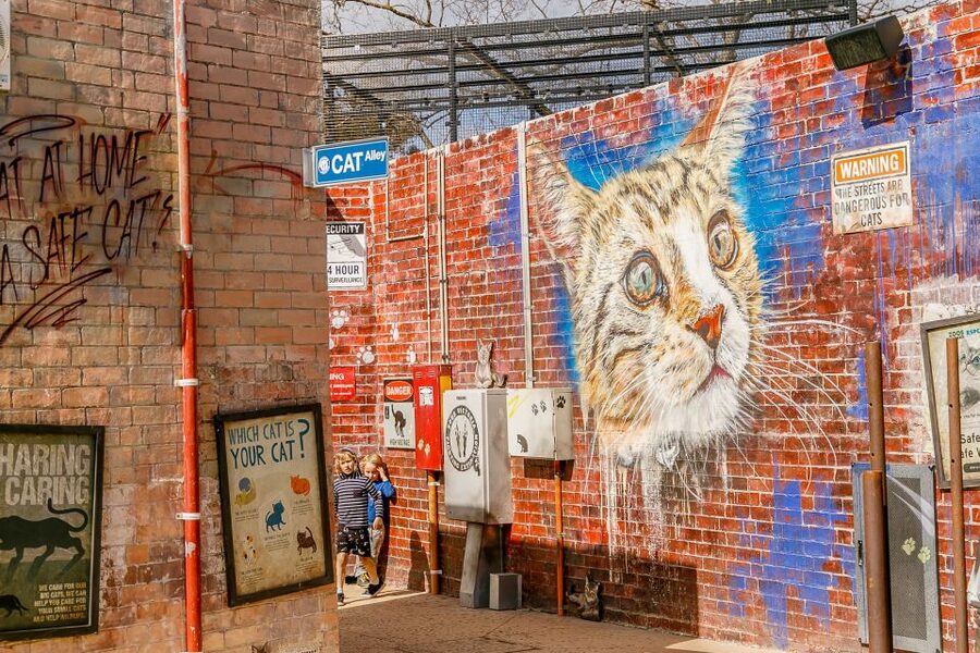 Melbourne Zoo: 1-Day Entry Ticket - Crowds, Animal Visibility, and Navigation
