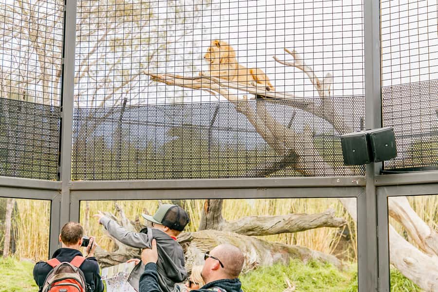 Melbourne Zoo: 1-Day Entry Ticket - Who Will Enjoy Melbourne Zoo Most?