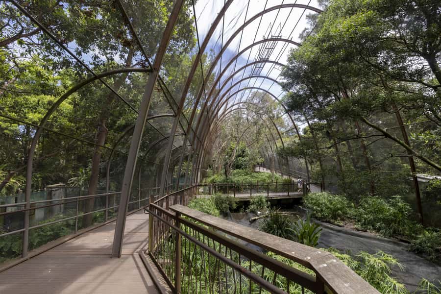 Melbourne Zoo: Australian Wildlife Experience Ticket - What the $65 price really covers