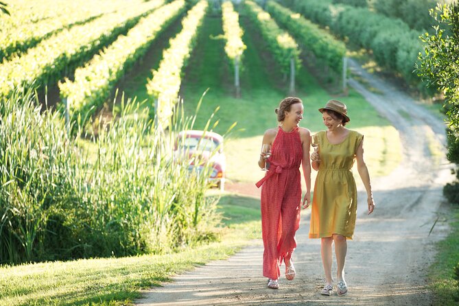 Montalto Vineyard: Mornington Peninsula Discovery Wine Tasting and Lunch - Key points to know before booking