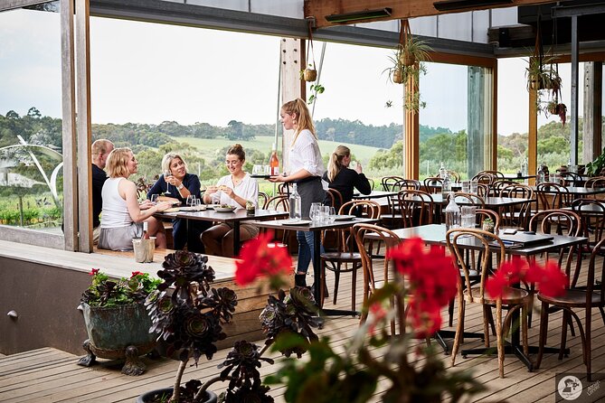 Montalto Vineyard: Mornington Peninsula Discovery Wine Tasting and Lunch - Is the $96.83 price good value?