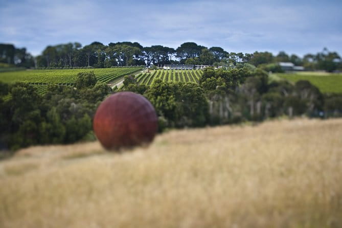 Montalto Vineyard: Mornington Peninsula Discovery Wine Tasting and Lunch - Practical planning for a relaxed visit