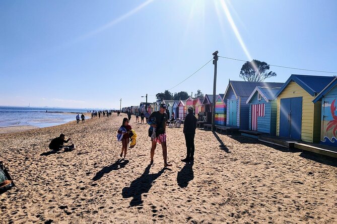 Moonlit Sanctuary and Brighton Beach Boxes Half Day Tour - Two hours with koalas, kangaroos, and wallabies
