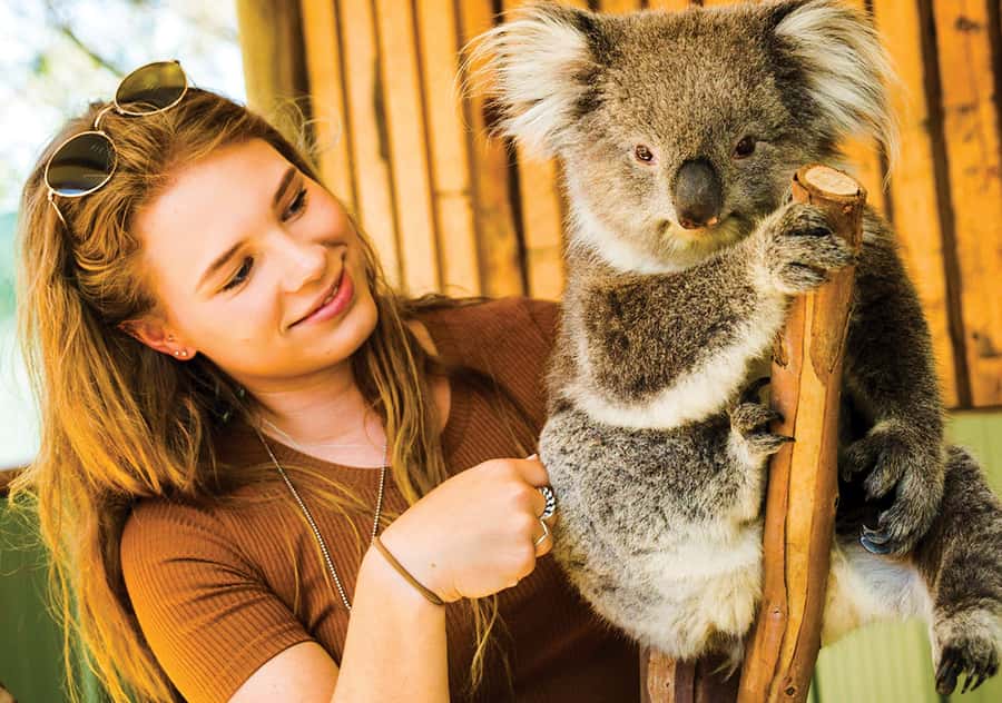 Moonlit Sanctuary Conservation Park Entry Ticket - Koalas, wombats and the animals you cannot ignore