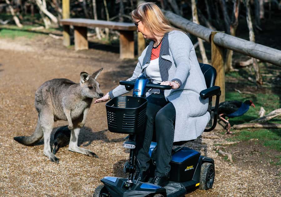 Moonlit Sanctuary Conservation Park Entry Ticket - Food, shade and family comfort