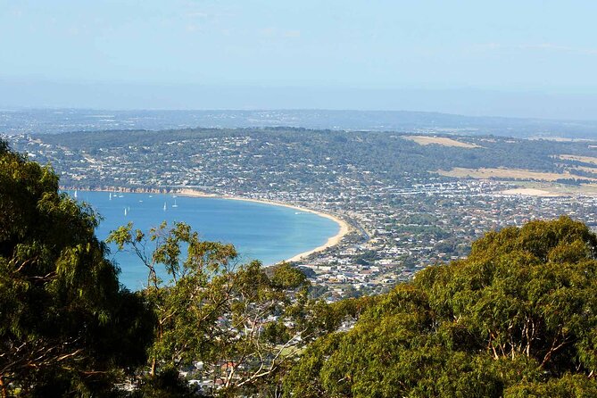 Mornington Peninsula Boutique Wine and Lunch Small Group Tour - Pt Leo Estate combines sculpture, wine, and sea views
