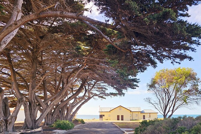 Mornington Peninsula Coastal Discovery Tour from Melbourne - What the $89.66 price really covers