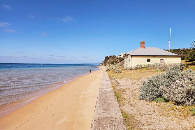 Mornington Peninsula Coastal Discovery Tour from Melbourne - Practical details that make the day easier