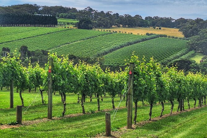 Mornington Peninsula Day Tour. Your Day Your Way. Your group only - Key points to know before booking