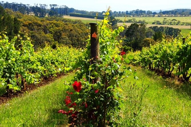 Mornington Peninsula Day Tour. Your Day Your Way. Your group only - Sorrento offers the day’s best town stop