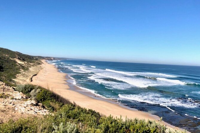 Mornington Peninsula Day Tour. Your Day Your Way. Your group only - Cape Schanck finishes the coastal circuit