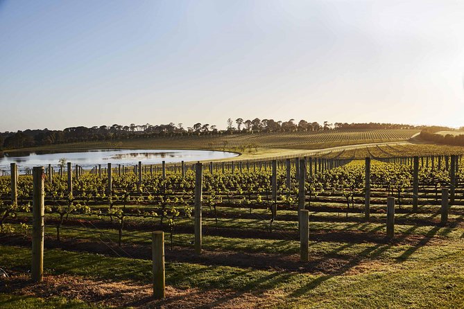 Mornington Peninsula Food and Wine Taste Trail - Why this tasting trail works as a full-day outing