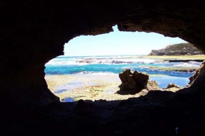 Mornington Peninsula Private Day Tour